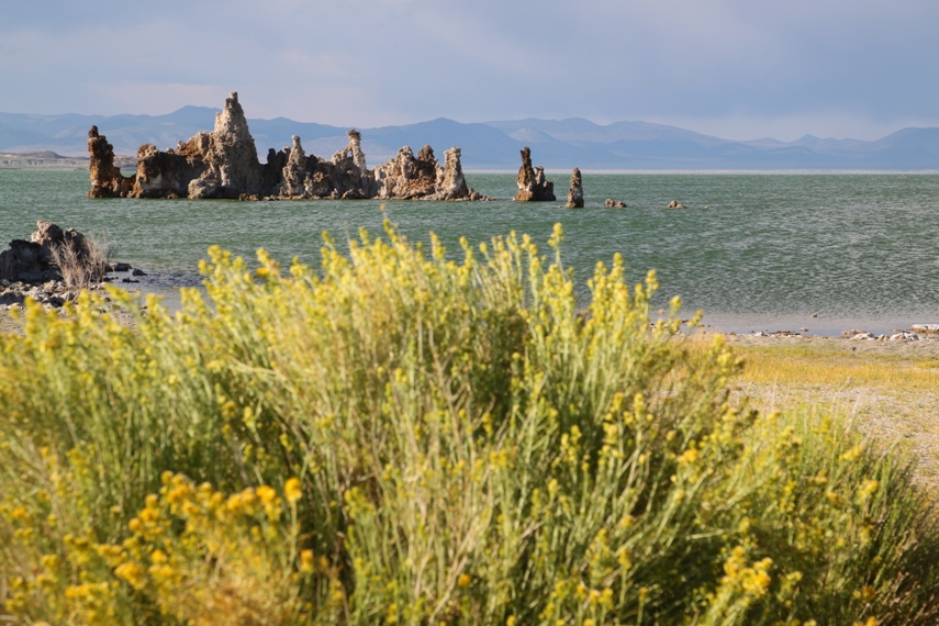 Mono Lake